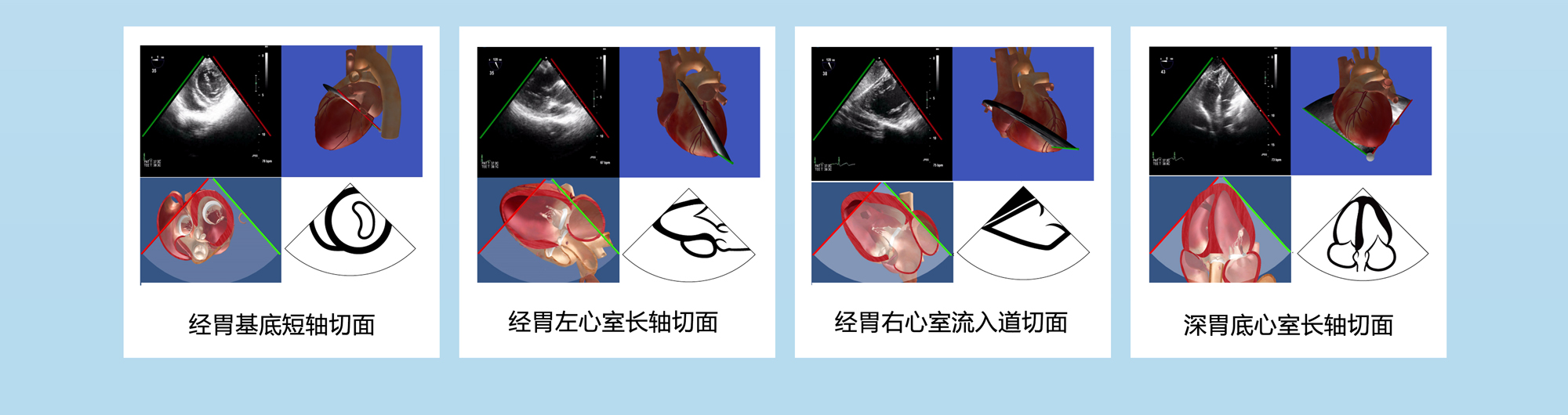 微信图片_20191210100346xiao13.jpg