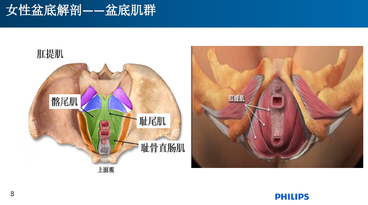 1617536034(1).png