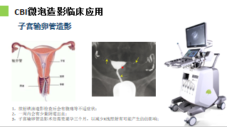 1617962184(1).png