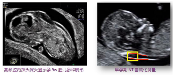 1633619010(1).png