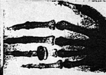 1633941502(1).png