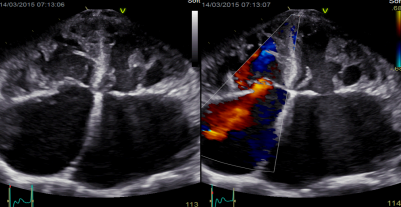 1633942790456567.png 1633942782(1).png