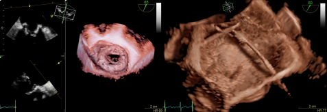 1633942820125235.png 1633942810(1).png