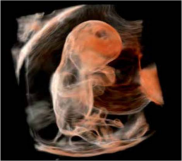 1635339961300404.png image.png