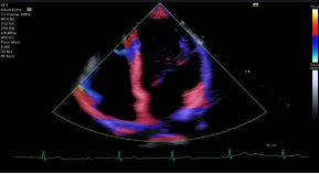 1635688915814161.png image.png