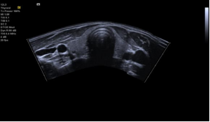 1635689000187317.png image.png