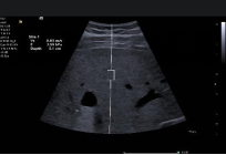 1635689028888262.png image.png