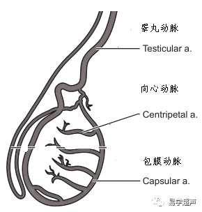 5f399adcb37808762eb0e3f1ccdfbc45.png