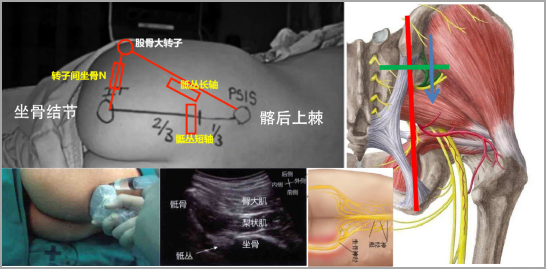 1683424525119981.jpg 1683424521034.jpg