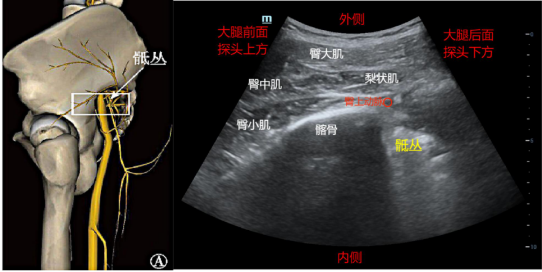 1683424548376398.jpg 1683424545031.jpg