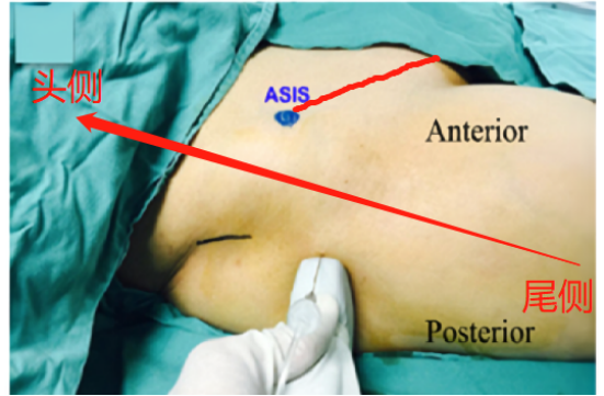 1683424562130773.jpg 1683424557394.jpg