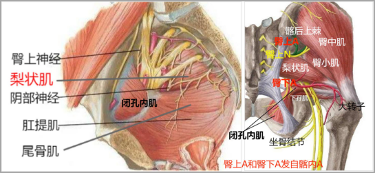 1683424669103319.jpg 1683424665246.jpg