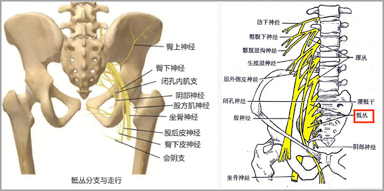 1683424687114378.jpg 1683424683463.jpg