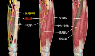 1683432039600938.png image.png