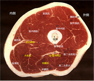 1683432054905345.png image.png