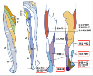 1683432092209005.png image.png