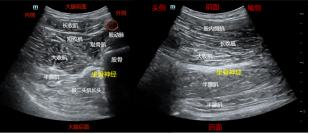 1683432956493617.png image.png