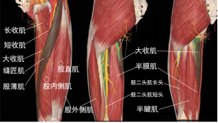 1683432976161971.png image.png