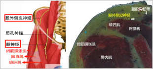 1683434429208144.png image.png