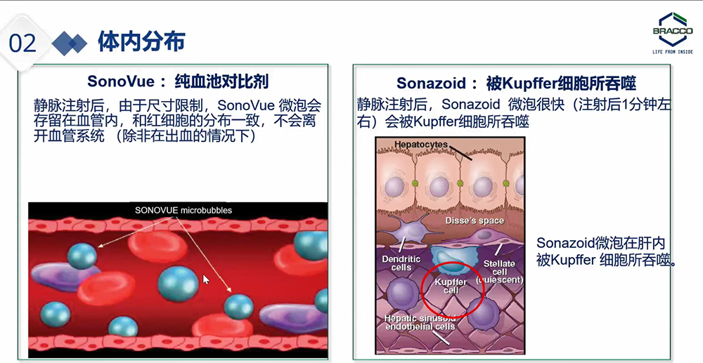 Rec 0001[00_06_38][20230523-221944].png