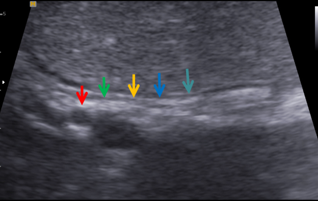 1687575593109743.png image.png