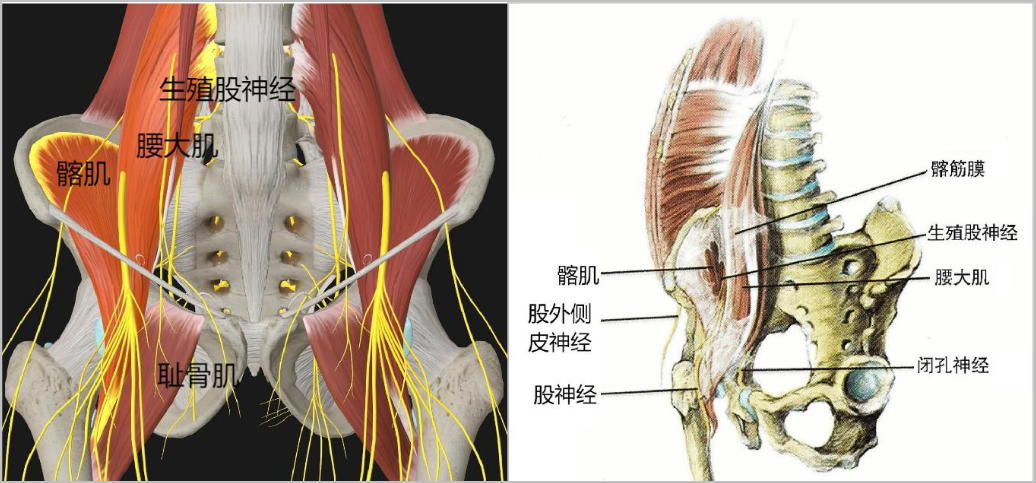 1688980127108977.jpg 1688980121834.jpg