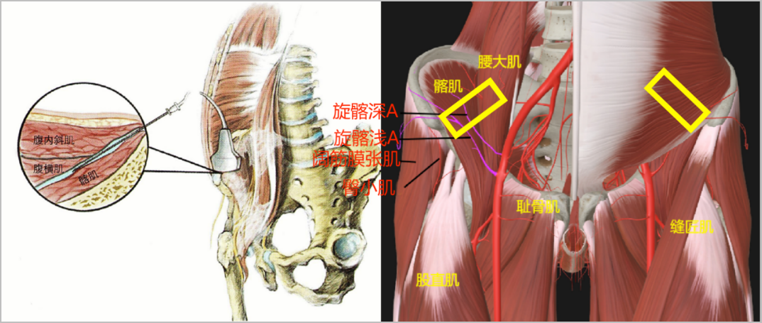 1688980249124878.jpg 1688980226737.jpg