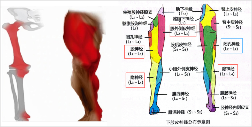 1688980316333496.jpg 1688980306354.jpg