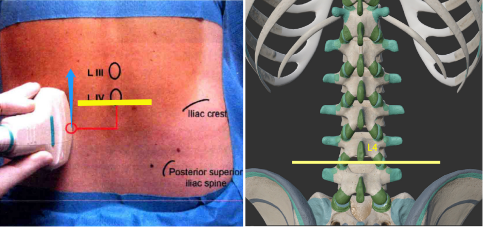 1688980505105858.jpg 1688980498963.jpg