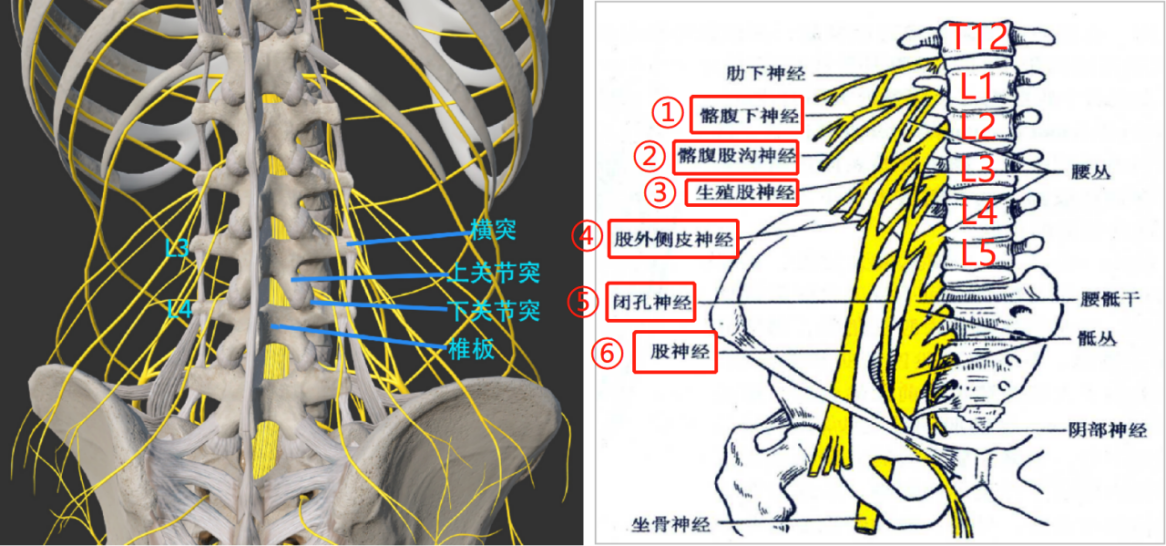 1688980536464657.jpg 1688980532436.jpg