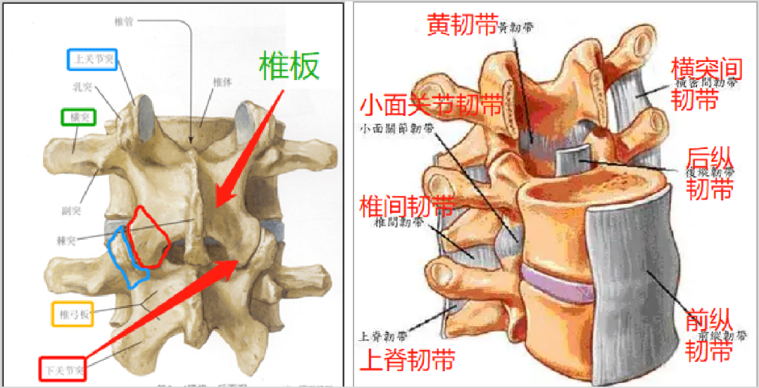 1688982243107708.jpg 1688982228119.jpg
