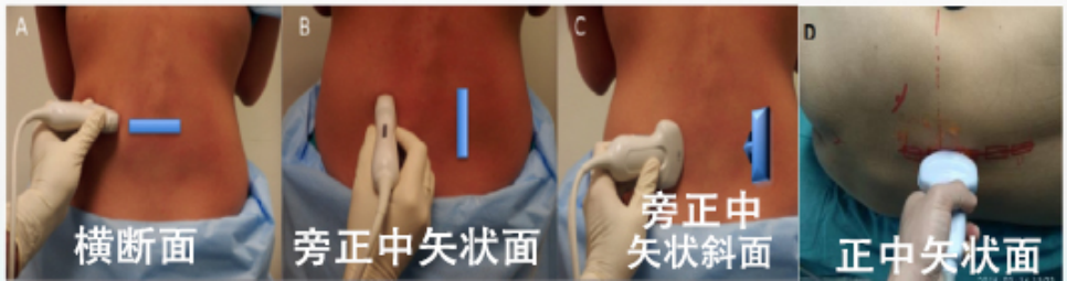 1688982299109459.jpg 1688982278863.jpg