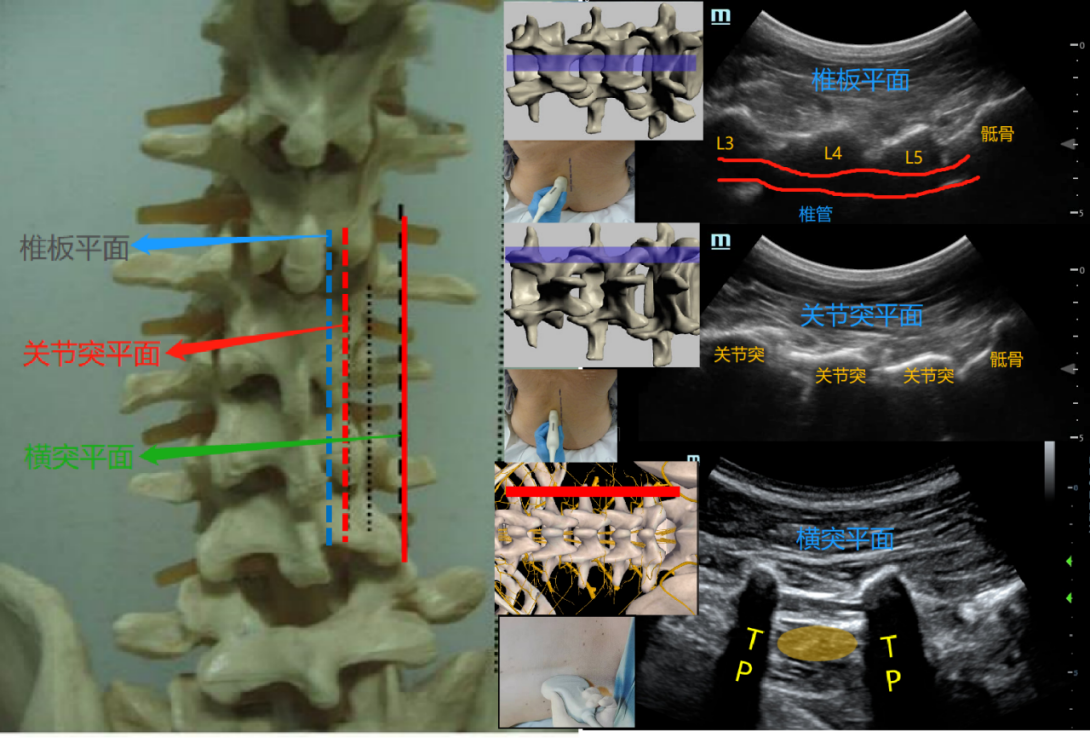 1688982324113010.jpg 1688982320681.jpg